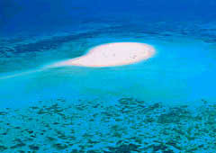 Mission Beach - Barrier Reef